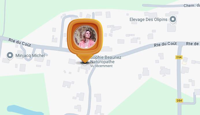 Sophie Beaunez Naturopathe Capbreton Sophie Beaunez Map Photo