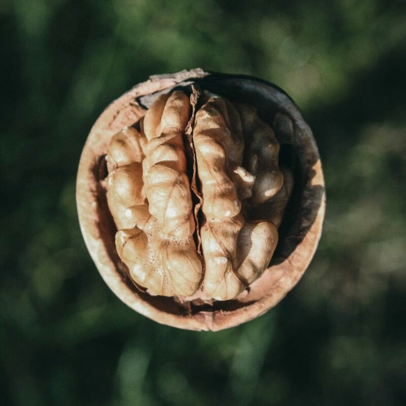 Sophie Beaunez Naturopathe Capbreton Noix Reduite